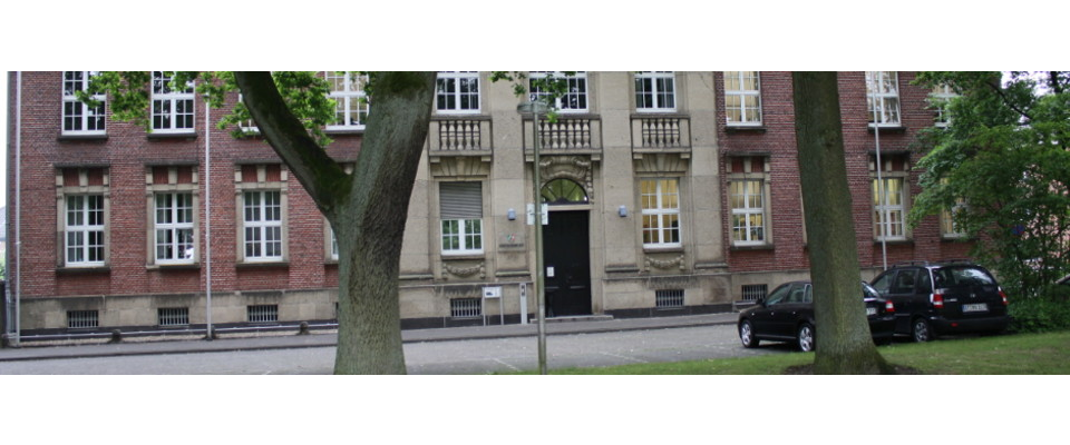 Vorderansicht Kopfbild